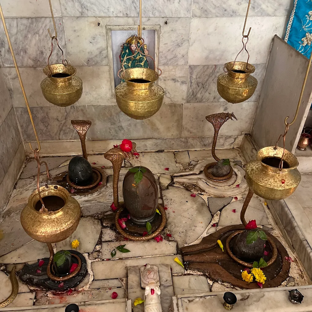Shree Raj Rajeshwar Mahadev Mandir - View 5